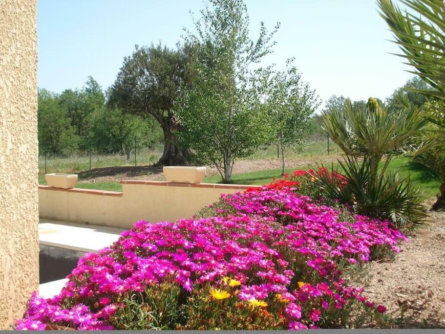 Gite Le Chalet Des Milles Et Un Chemins Castelnou Luaran gambar